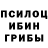 Галлюциногенные грибы Magic Shrooms Korol ArturVP