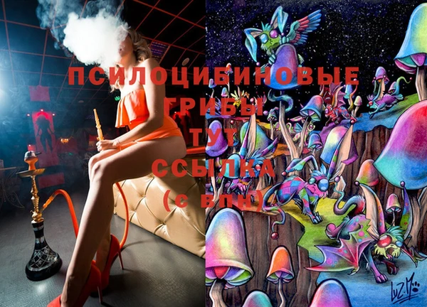 дживик Алексин