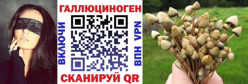 купить наркотики цена  Чапаевск  Галлюциногенные грибы Magic Shrooms 